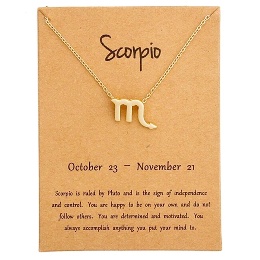 Minimalist Zodiac Sign Minimalist Charm Necklace - Picture 11 of 16